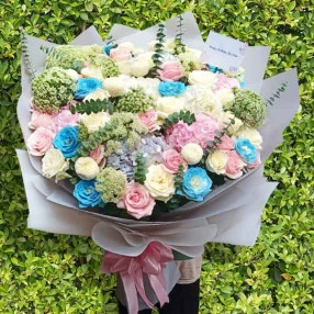 Blues and Blush