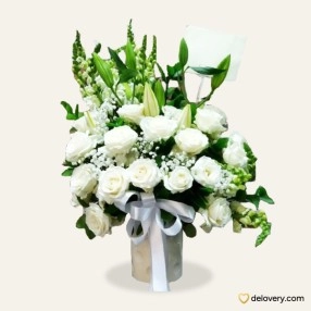 Center of White