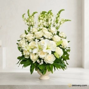 Exquisite Blooms
