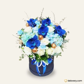Majesty of Love in Box