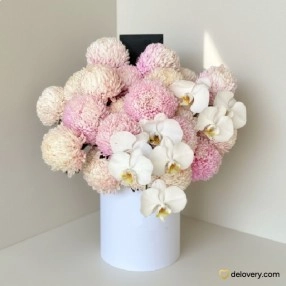 Pastel Dream Orchid Box