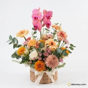 Phalaenopsis Peach Garden