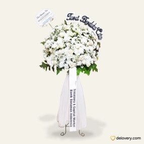 Timeless Blooms